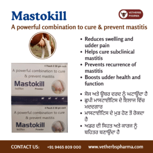 MASTOKILL