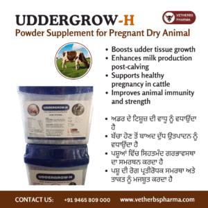 UDDERGROW-H